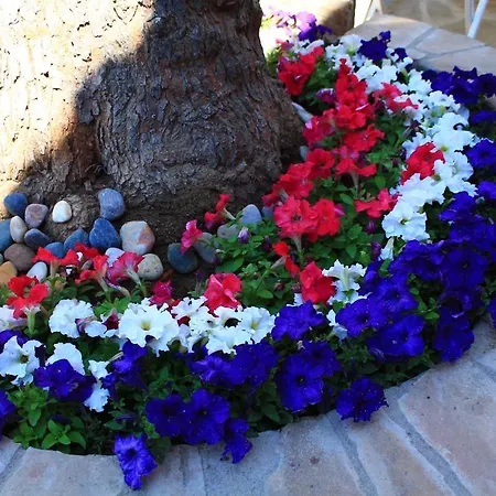 Paparuna Butik Bed & Breakfast